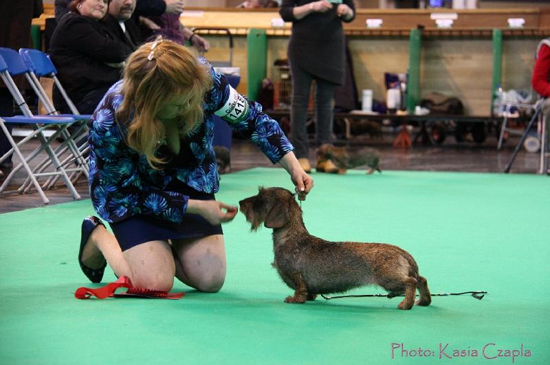 Crufts2011_2 1405.jpg